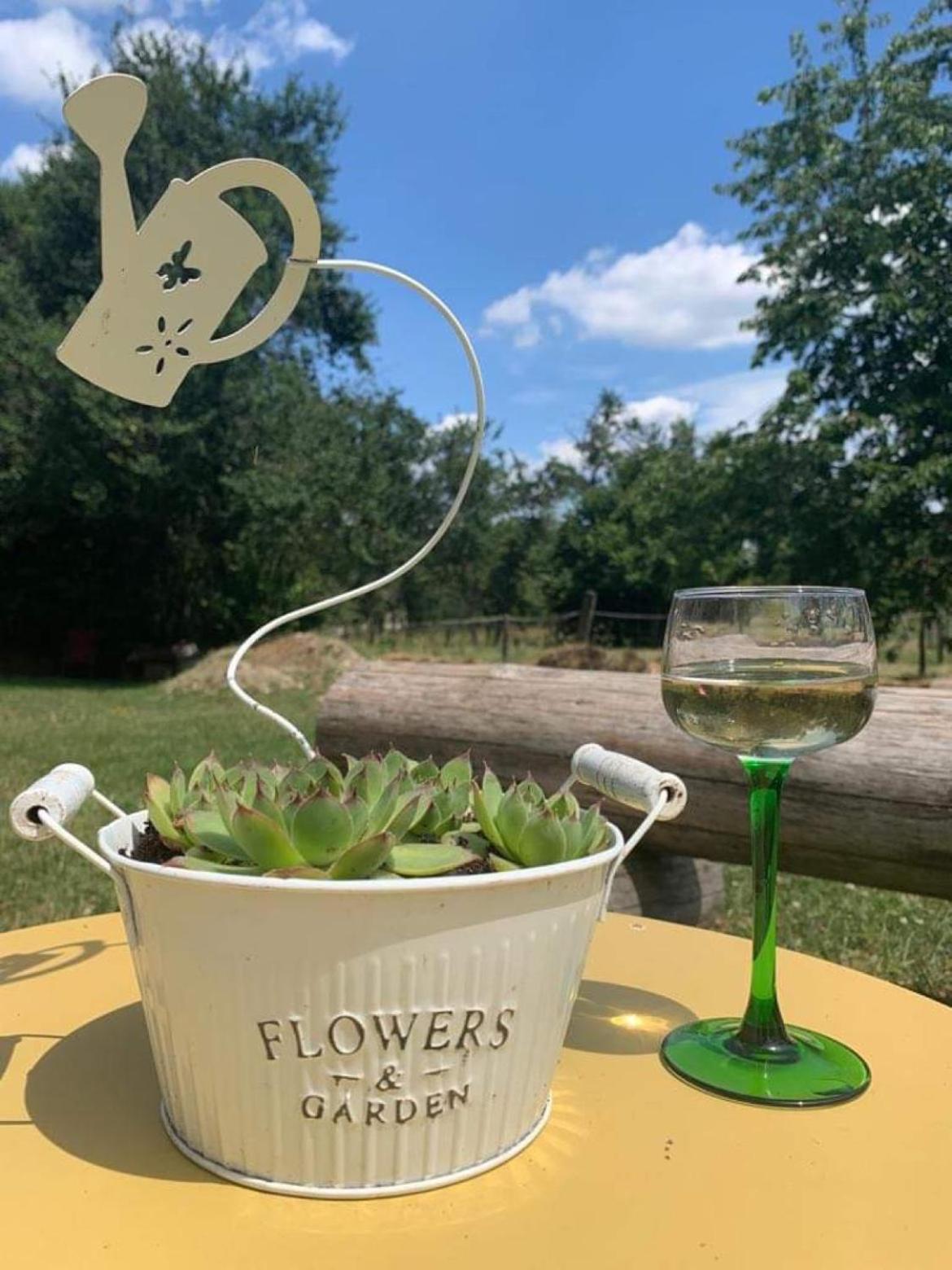 Maison D Hotes Spa Pivoine Et Colibri Domfessel Екстериор снимка